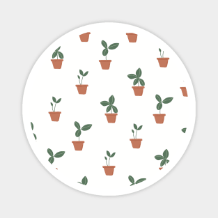 Pattern with sprouts in pots Magnet